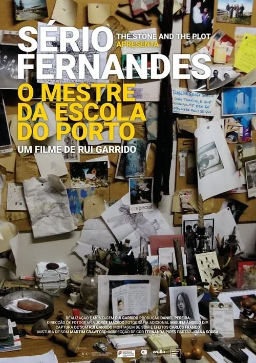 Póster de la película Sério Fernandes - O Mestre da Escola do Porto