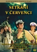 Película Setkání v červenci