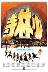 Shaolin temple portada