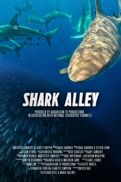 Póster de la película Shark Alley