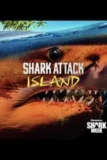 Película Shark Attack Island