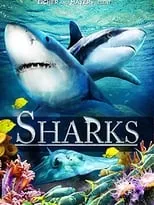 Película Sharks (in 3D)