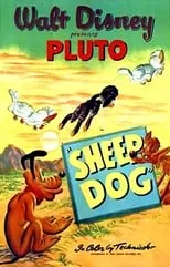 Póster de la película Sheep Dog