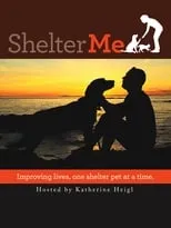 Póster de la película Shelter Me