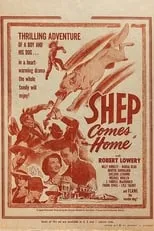 Portada de Shep Comes Home