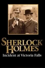 Portada de Sherlock Holmes: Incidente en las Cataratas Victoria