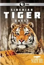 Película Siberian Tiger Quest