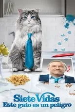 Poster de la película Siete vidas, este gato es un peligro - Películas hoy en TV