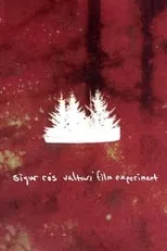 Póster de la película Sigur Rós: Valtari Film Experiment