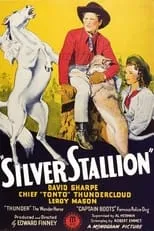 Póster de la película Silver Stallion