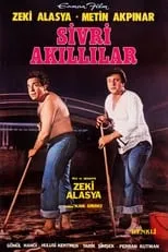 Póster de la película Sivri Akıllılar