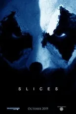 Poster de Slices