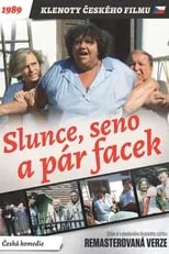 Portada de Slunce, seno a pár facek