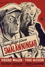 Póster de la película Smålänningar