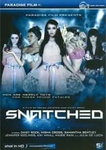 Poster de Snatched