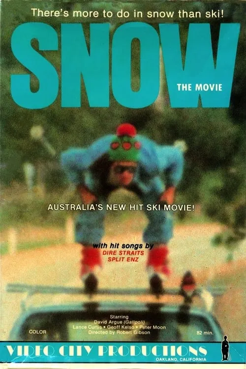 Póster de la película Snow: The Movie