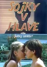 Sojky v hlave portada