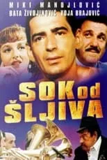 Sok od šljiva portada