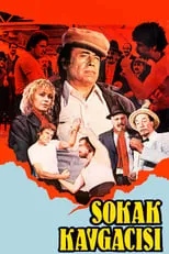 Película Sokak Kavgacısı