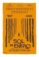 Película Sol de enero