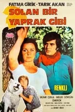 Película Solan Bir Yaprak Gibi