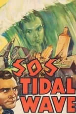 Póster de la película S.O.S Tidal Wave