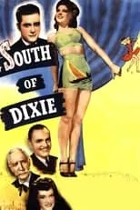 Póster de la película South of Dixie