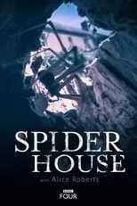 Poster de Spider House