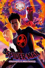 Poster de la película Spider-Man: Cruzando el Multiverso - Películas hoy en TV