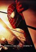 Todd McFarlane interpreta a himself en Spider-Man: The Mythology of the 21st Century