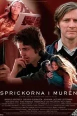 Póster de la película Sprickorna i muren