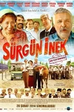 Película Sürgün İnek