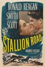 Póster de la película Stallion Road