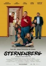 Póster de la película Sternenberg