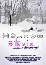 Poster de Stevie