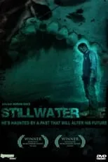 Póster de la película Stillwater