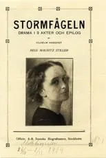 Película Stormfågeln