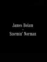 Póster de la película Stormin' Norman