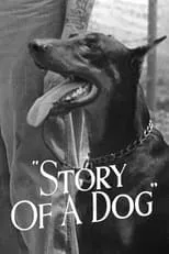 Knox Manning es Narrator (voice) en Story of a Dog