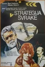 Strategija švrake portada