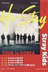 Poster de la película Stray Kids HI-STAY TOUR FINALE IN SEOUL - Películas hoy en TV