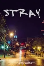 Poster de Stray