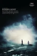 Póster de Sudden Light