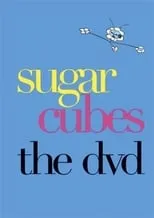 Sigtryggur Baldursson es Self en Sugar Cubes - The DVD