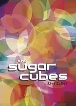 Sigtryggur Baldursson es Self en Sugarcubes: Live Zabor