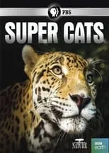 Poster de Super Cats