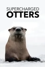 Película Supercharged Otters