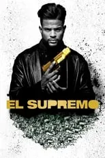 Poster de Superfly