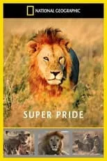 Poster de la película Superpride - Películas hoy en TV