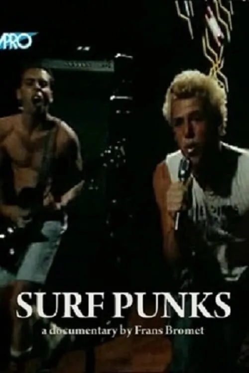 Póster de la película Surf Punks